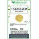 Tarassaco radice in polvere Tarassaco radice in polvere