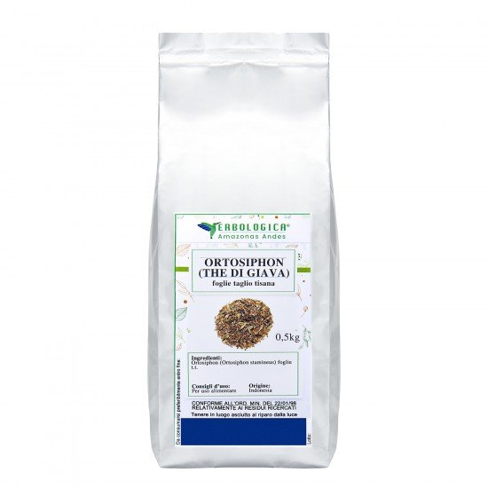 Orthosiphon tisana Orthosiphon tisana