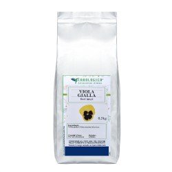 Viola gialla fiori interi Viola gialla fiori interi