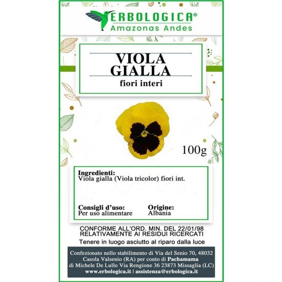 Viola gialla fiori interi Viola gialla fiori interi