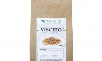 Vischio pianta e i suoi benefici