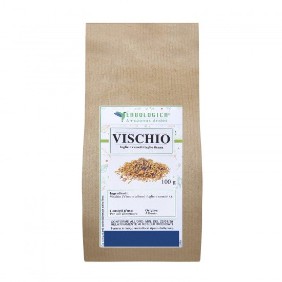 Vischio foglie e rametti taglio tisana Vischio foglie e rametti taglio tisana