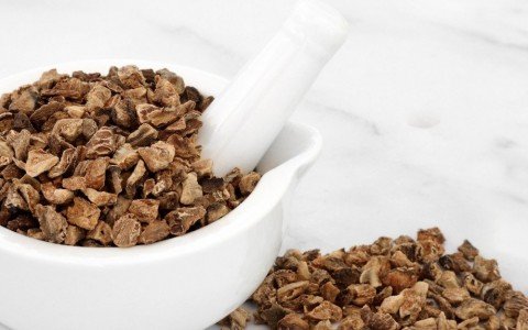 Benefici dell’Artiglio del Diavolo Benefici dell’Artiglio del Diavolo