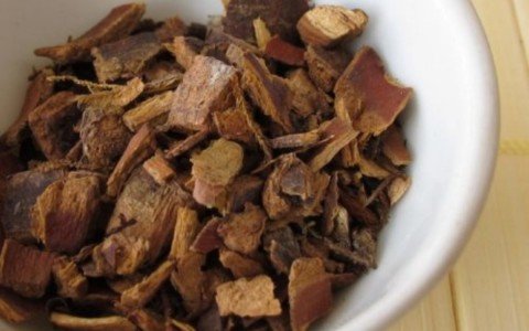 Cascara Sagrada usi e benefici Cascara Sagrada usi e benefici