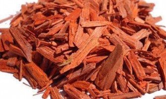 China corteccia rossa