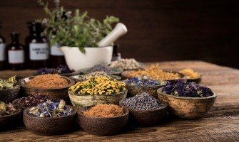 Prezzi ingrosso piante officinali