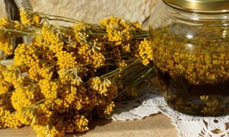 Elicriso come usarlo e benefici per l'organismo