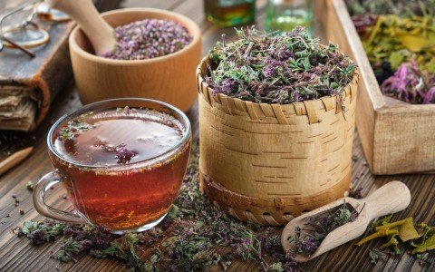 Erbe medicinali e tisane tipiche della montagna Erbe medicinali e tisane tipiche della montagna