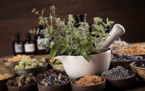 Medicinali a base di erbe e tisane che trattano l'orticaria Medicinali a base di erbe e tisane che trattano l'orticaria