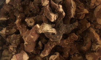 I benefici e gli usi della Pianta Galanga: Scopri le proprietà terapeutiche di questa meraviglia naturale