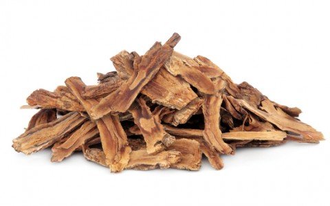 Genziana liquore ricetta e curiosità Genziana liquore ricetta e curiosità