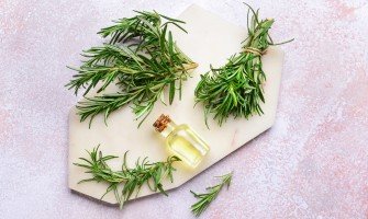 Rosmarino in erboristeria usi e benefici