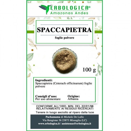 Spaccapietra pianta in polvere Spaccapietra pianta in polvere