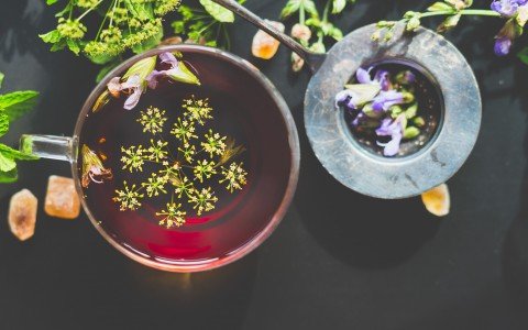 Le tisane depurative per il fegato Le tisane depurative per il fegato