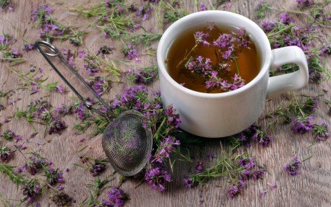 Scopri la verbena: benefici, usi tradizionali e guida all'aromaterapia Scopri la verbena: benefici, usi tradizionali e guida all'aromaterapia