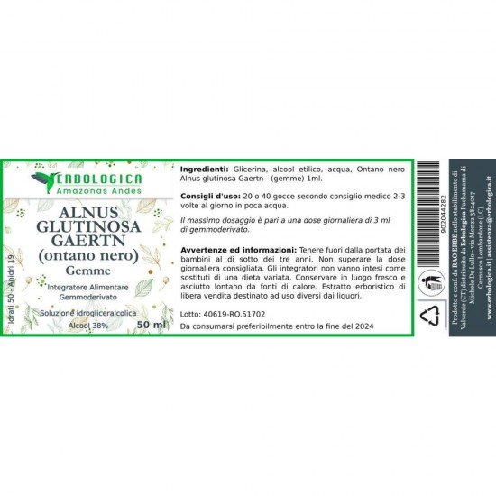 Ontano nero gemme soluzione idrogliceralcolica Ontano nero gemme soluzione idrogliceralcolica