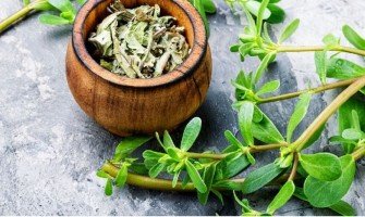 Guida alle erbe selvatiche commestibili: identificazione, raccolta, ricette, scopri benefici e consigli