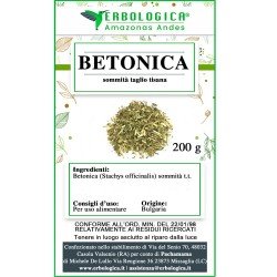 Betonica sommità tisana