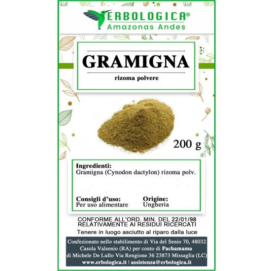 Gramigna rizoma in polvere Gramigna rizoma in polvere