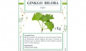 Piante officinali che migliorano la memoria